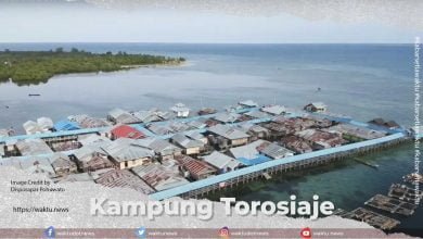 Kampung Torosiaje