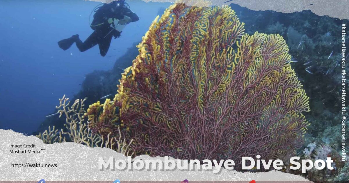 Molombunaye Dive Spot
