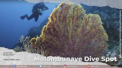 Molombunaye Dive Spot