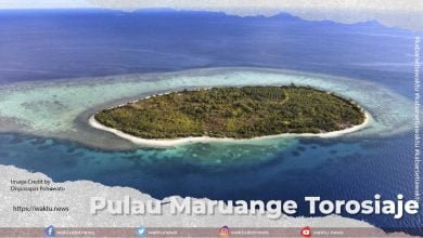 Pulau Maruange Torosiaje