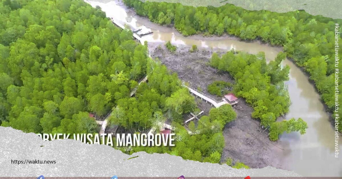 Tracking Ma/ngrove In Love