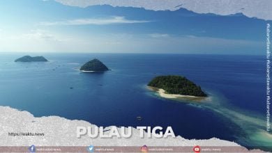 Pulau Tiga Maelang