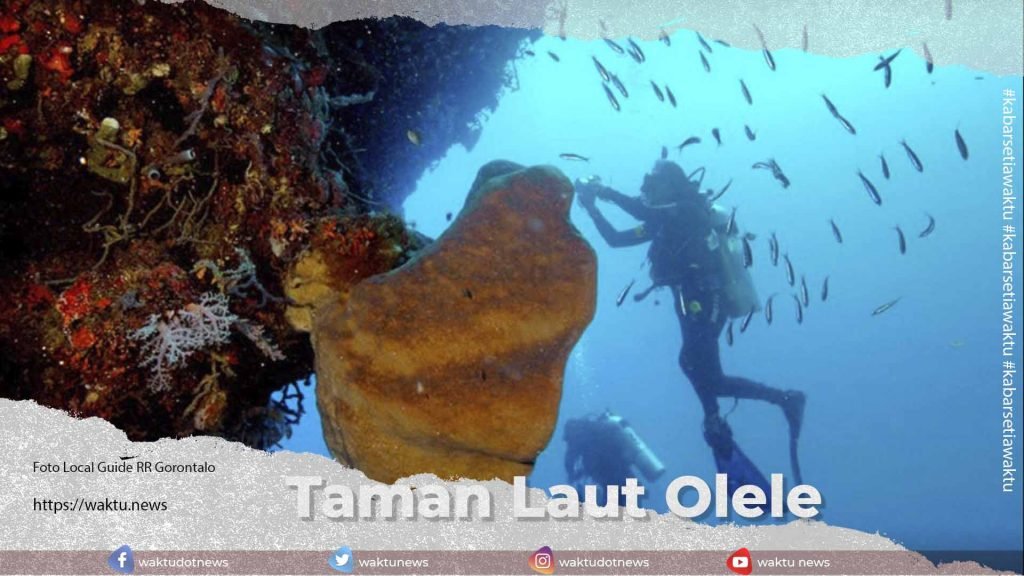 Taman Laut Olele