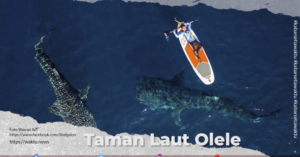 Taman Laut Olele