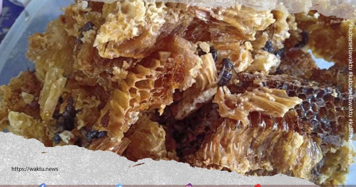 Manfaat Madu Bagi Kesehatan Menurut Islam