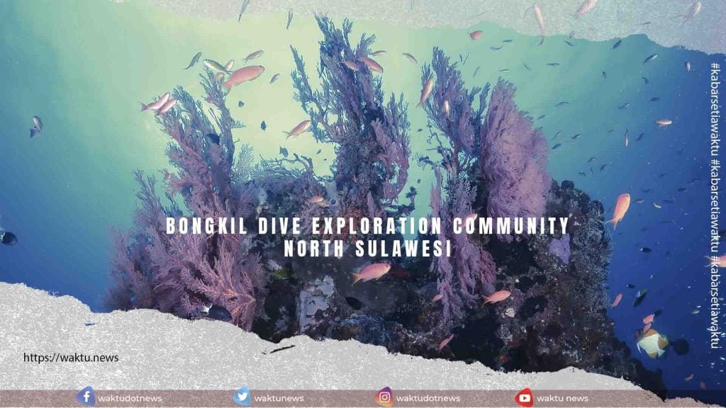 Bongkil Dive Exploration Community North Sulawesi