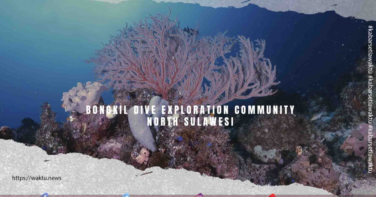 Bongkil Dive Exploration Community North Sulawesi