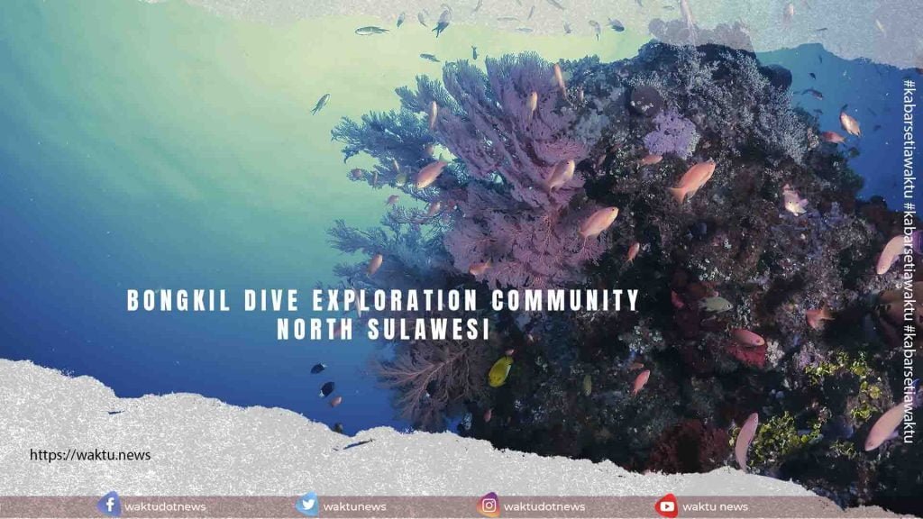 Bongkil Dive Exploration Community North Sulawesi