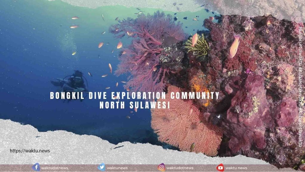 Bongkil Dive Exploration Community North Sulawesi