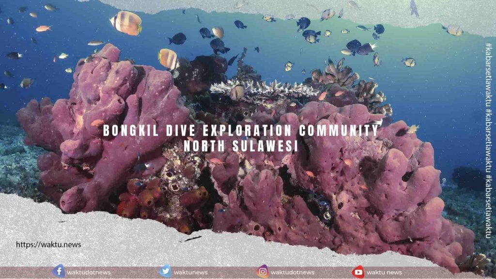 Bongkil Dive Exploration Community North Sulawesi