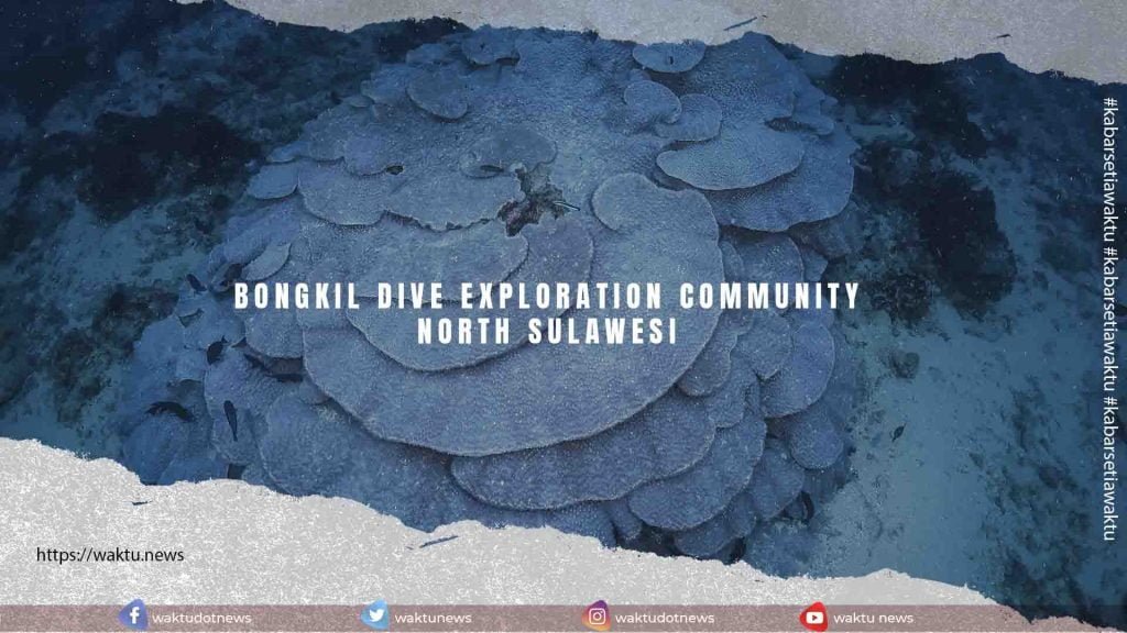 Bongkil Dive Exploration Community North Sulawesi