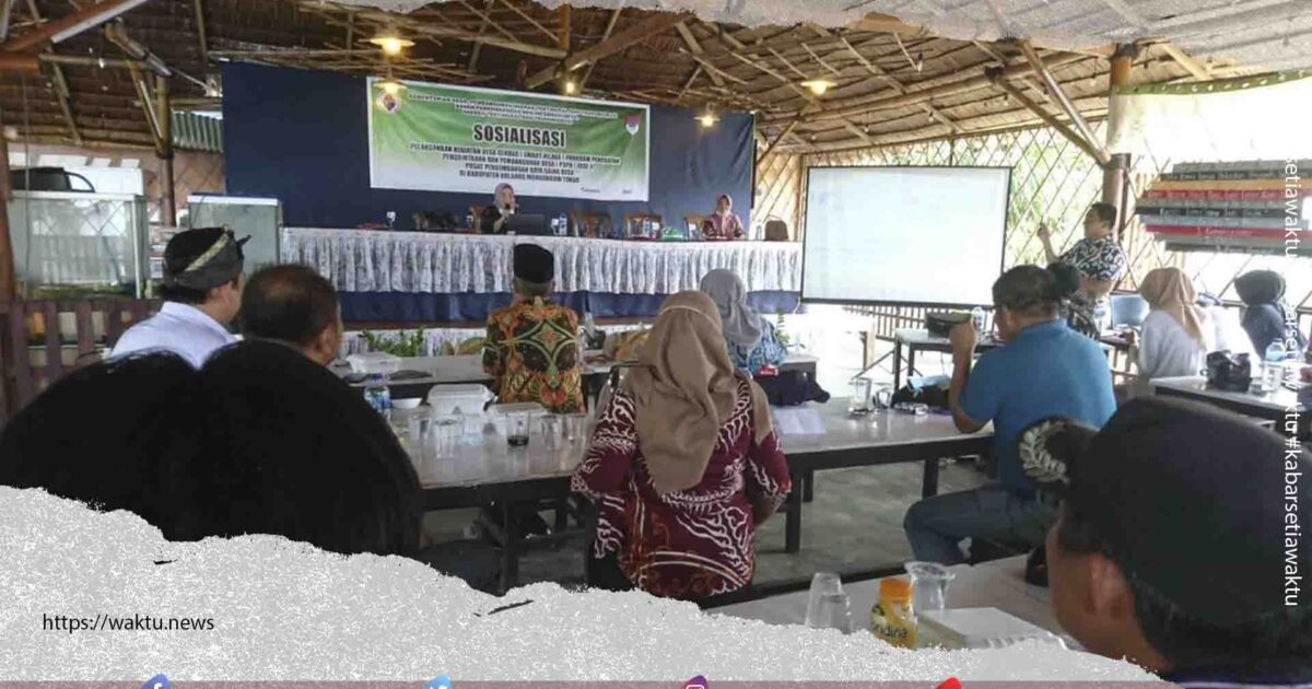 Program Smart Village