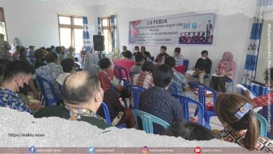 Usaha Sarang Burung Walet