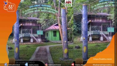 Taman Nasional Bogani Nani Wartabone