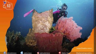 Tempat Wisata Bitung