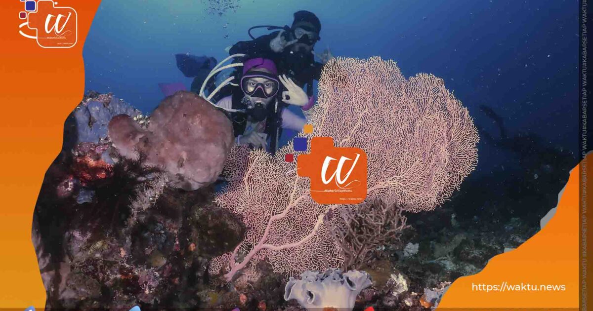 Wisata Bolmut