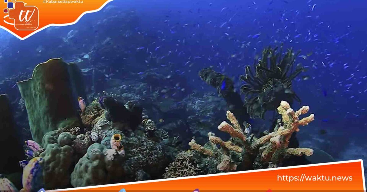 Tempat Wisata Parigi Moutong