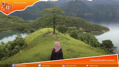 Tempat Wisata Morowali Utara