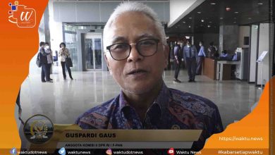 DOB Papua Dianggarkan Dari APBN