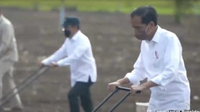 Jaring Pengaman Sosial APBD