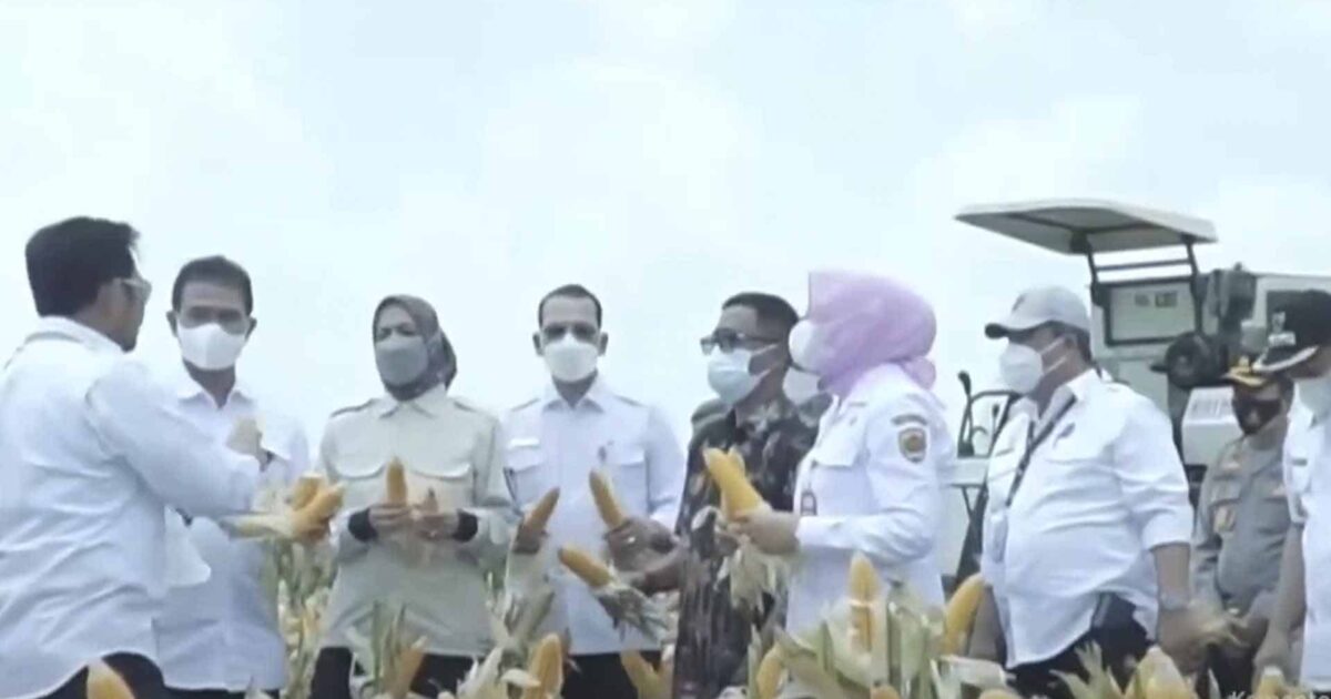 Pemerintah Menaikkan Produksi Jagung