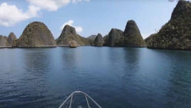 Pulau Waigeo Raja Ampat