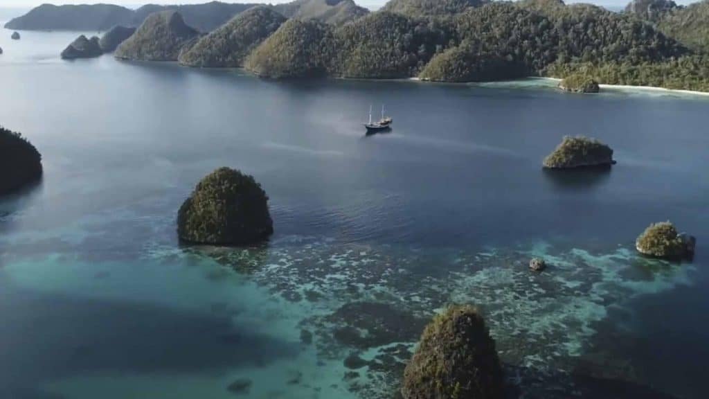 Pulau Waigeo Raja Ampat