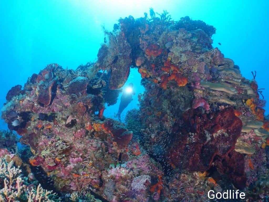 underwater pulau sara