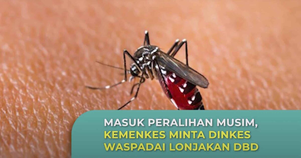 Dinkes Waspadai Lonjakan DBD