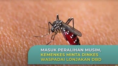 Dinkes Waspadai Lonjakan DBD