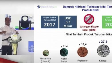 Investasi Indonesia Tahun 2022