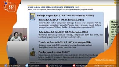 Penerimaan Pajak Indonesia Naik