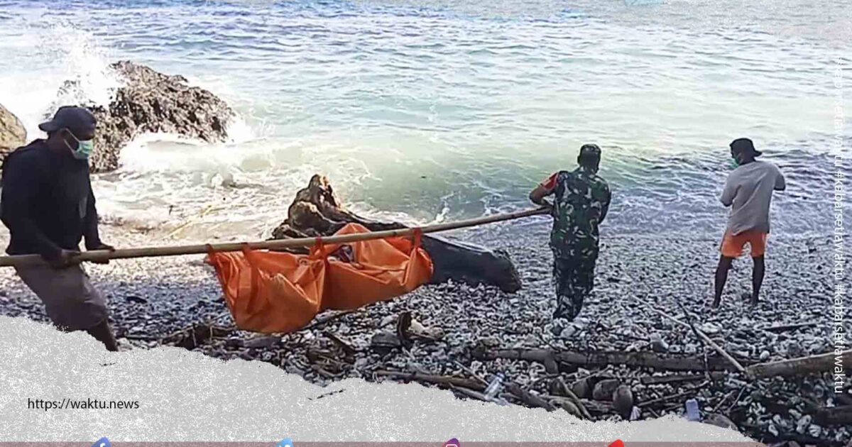 Mayat di Tanjung Flesko