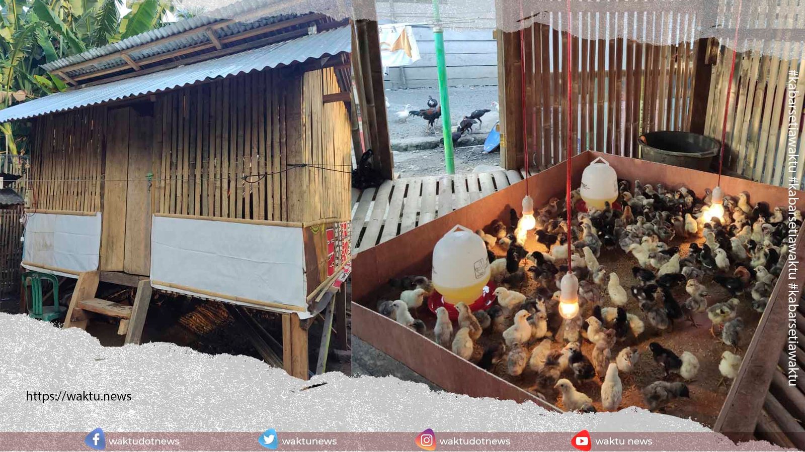 Pemdes Nuangan Selatan Bangun Kandang Ayam