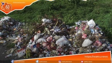 Sampah Organik dan Anorganik