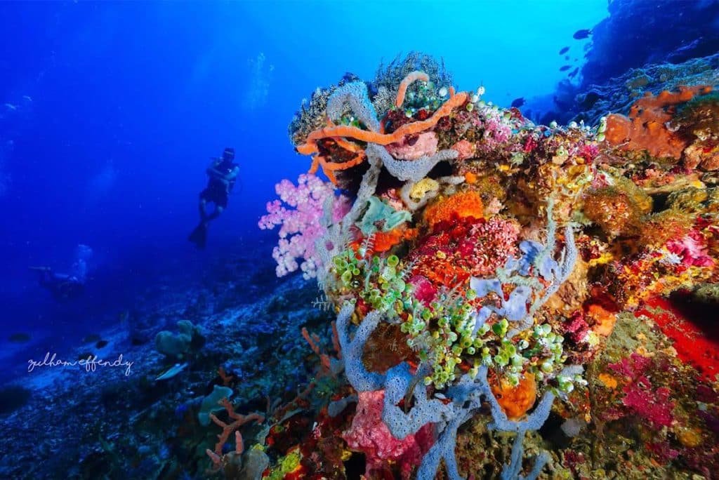 Pantai Jikomalamo di Maluku Utara