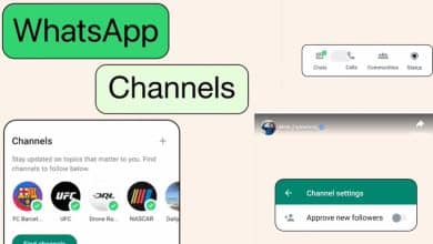 WhatsApp Channel
