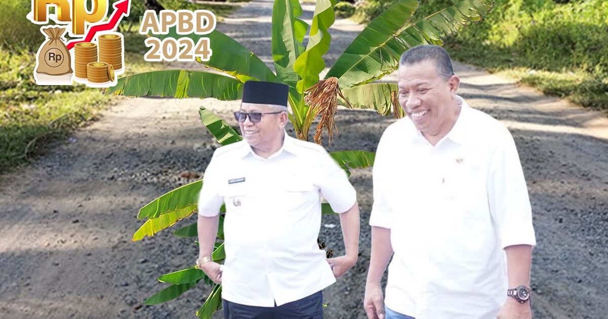 Pohon Pisang di Jalan Boroko Timur