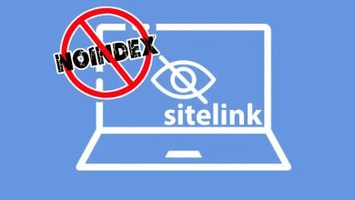 Strategi Noindex dalam Sitelinks