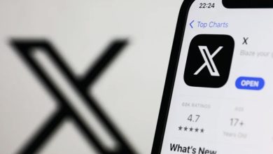 Program Monetisasi Kreator Elon Musk