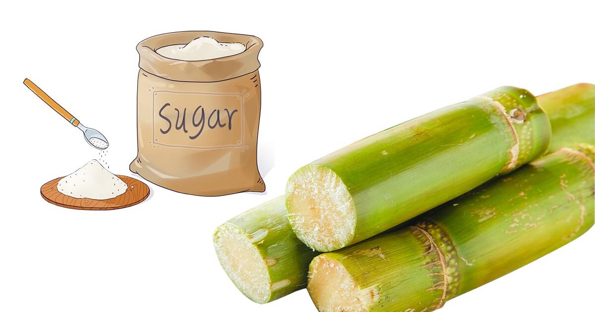 Gula Manisnya Naik