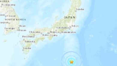 Jepang dalam Sorotan Tsunami