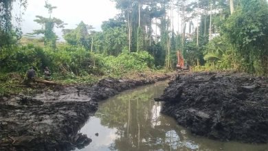 Pembukaan Tambak Udang di Kayumoyondi Boltim