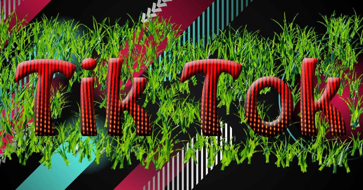 TikTok Menjajal Kemampuan Unggah Video