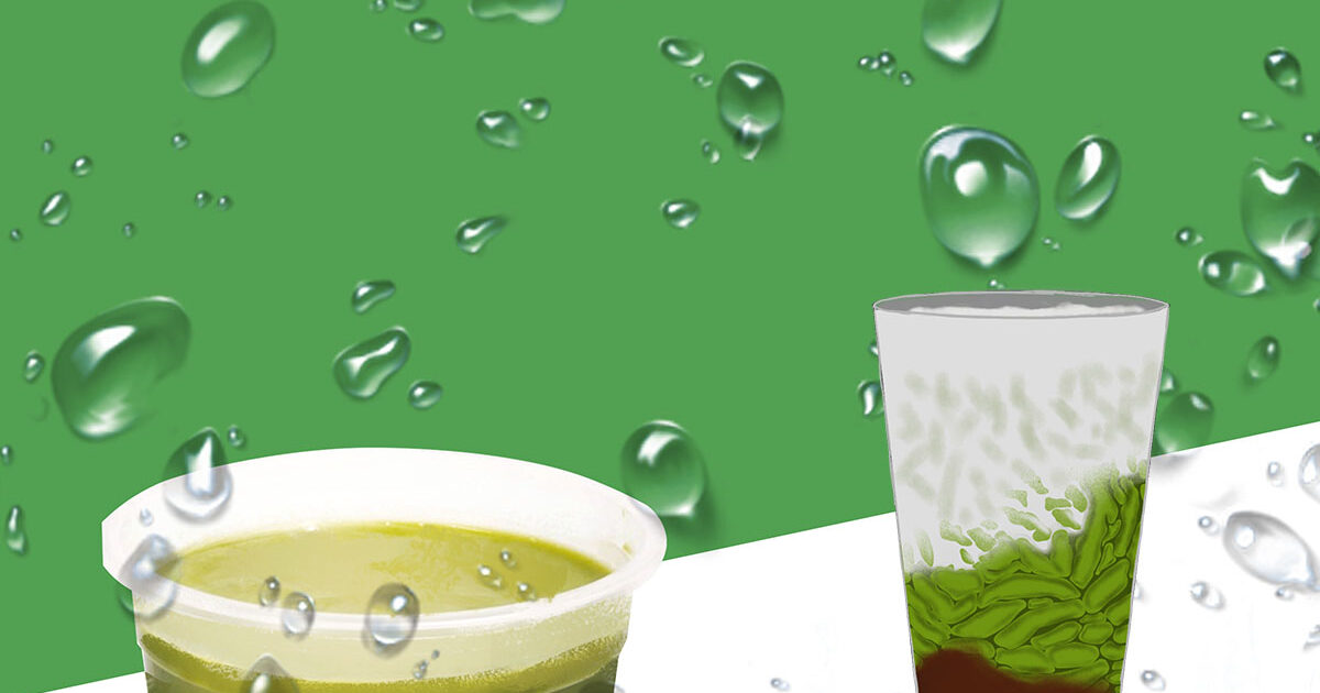 Manfaat Cincau Hijau