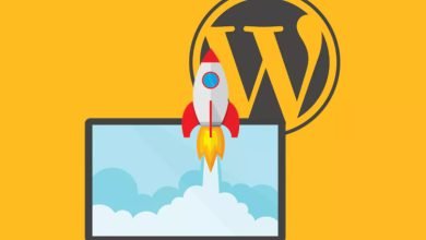 Plugin WordPress untuk Kecepatan Web