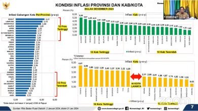 Tingkat Inflasi Varian di Provinsi dan Kabupaten Kota 2024