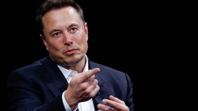 CEO Nothing usulkan Nama Elon Bhai