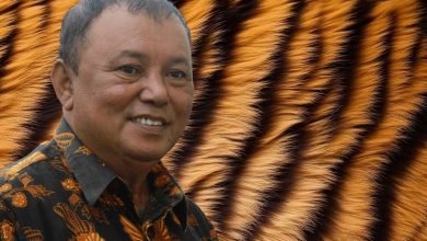 Shio Harimau Pinogaluman