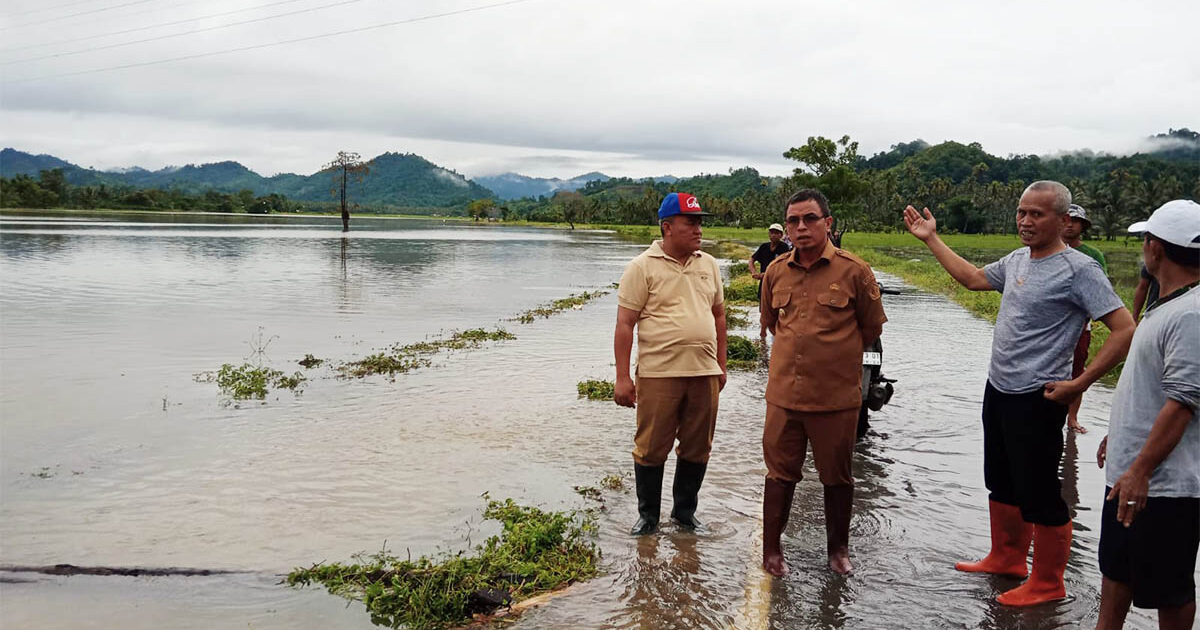 Bencana Banjir Wilayah Bolmut